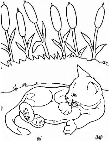Раскраска Кот лежит у пруда